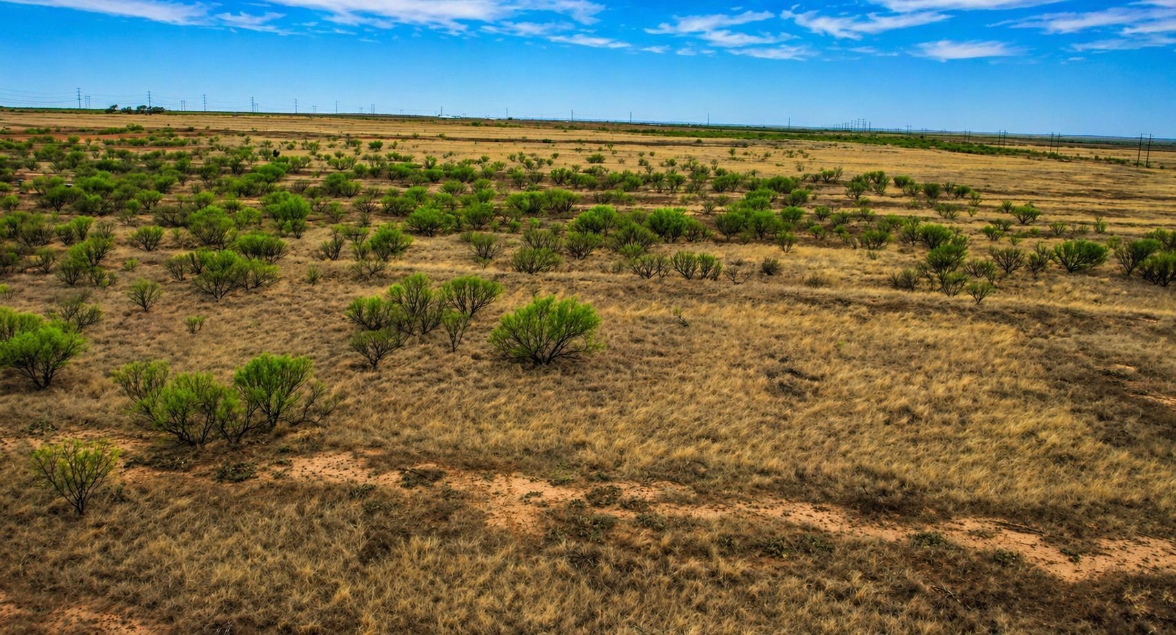 0000 County Road 437 Paducah TX 79248