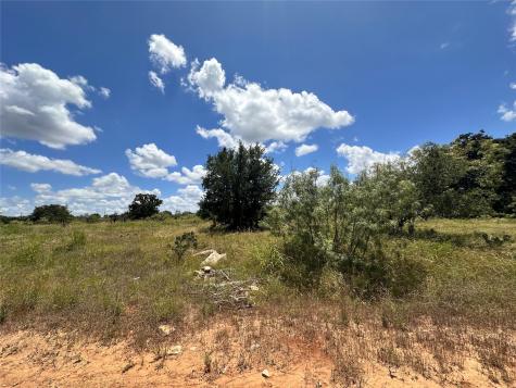 Tbd Lot 149 Woods Landing Drive Brownwood TX 76801