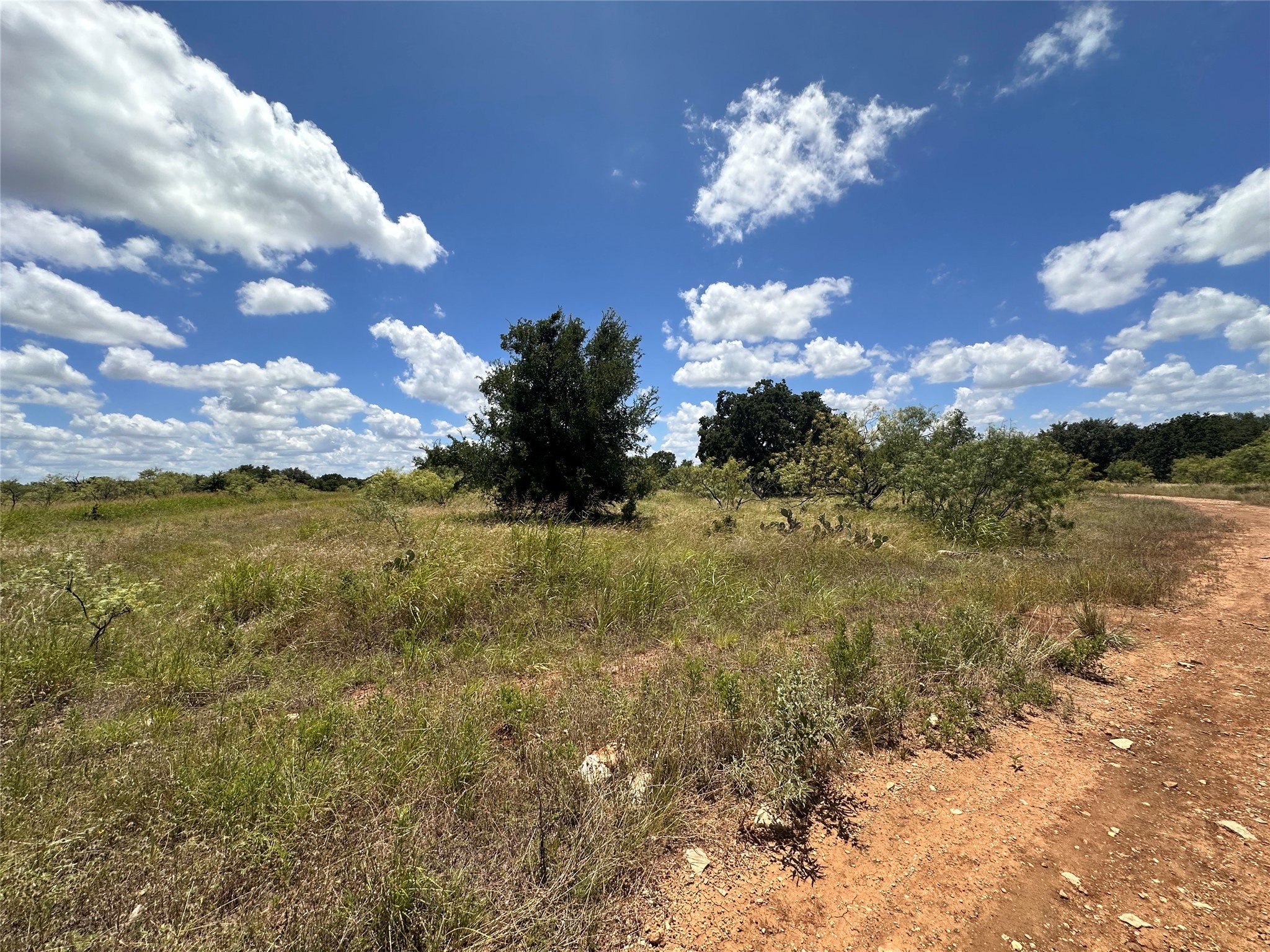 Tbd Lot 149 Woods Landing Drive Brownwood TX 76801