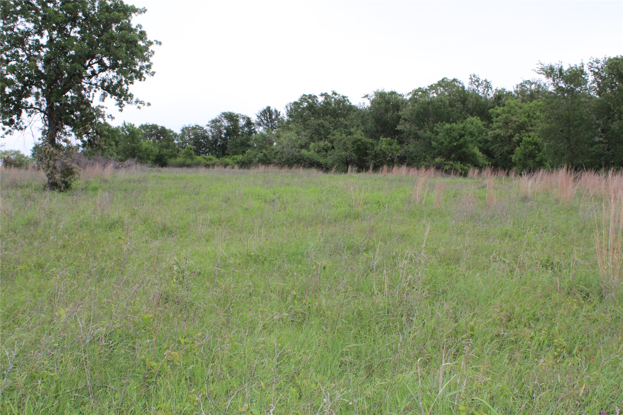 1080 Gonzollas Road Springtown TX 76082