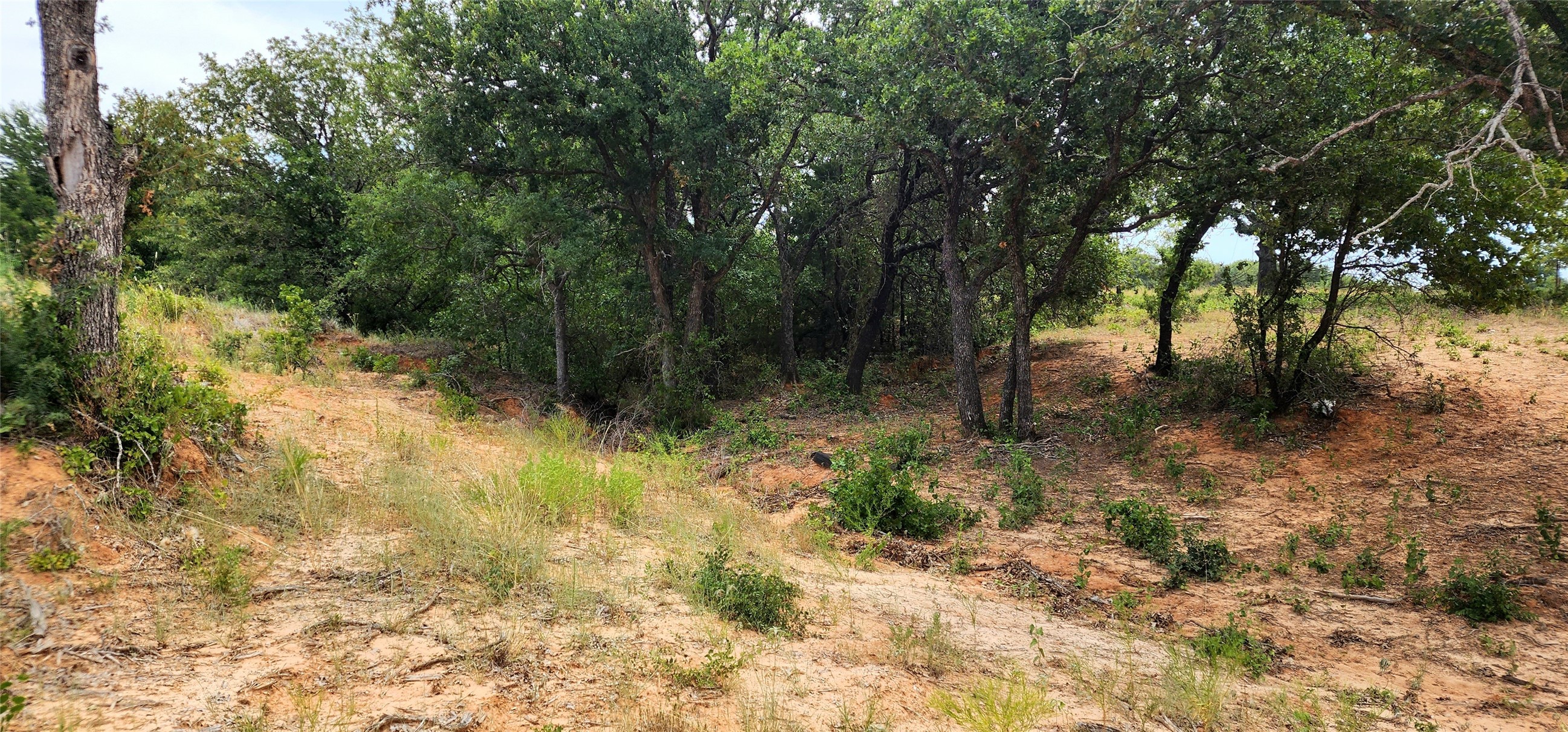 1080 Gonzollas Road Springtown TX 76082