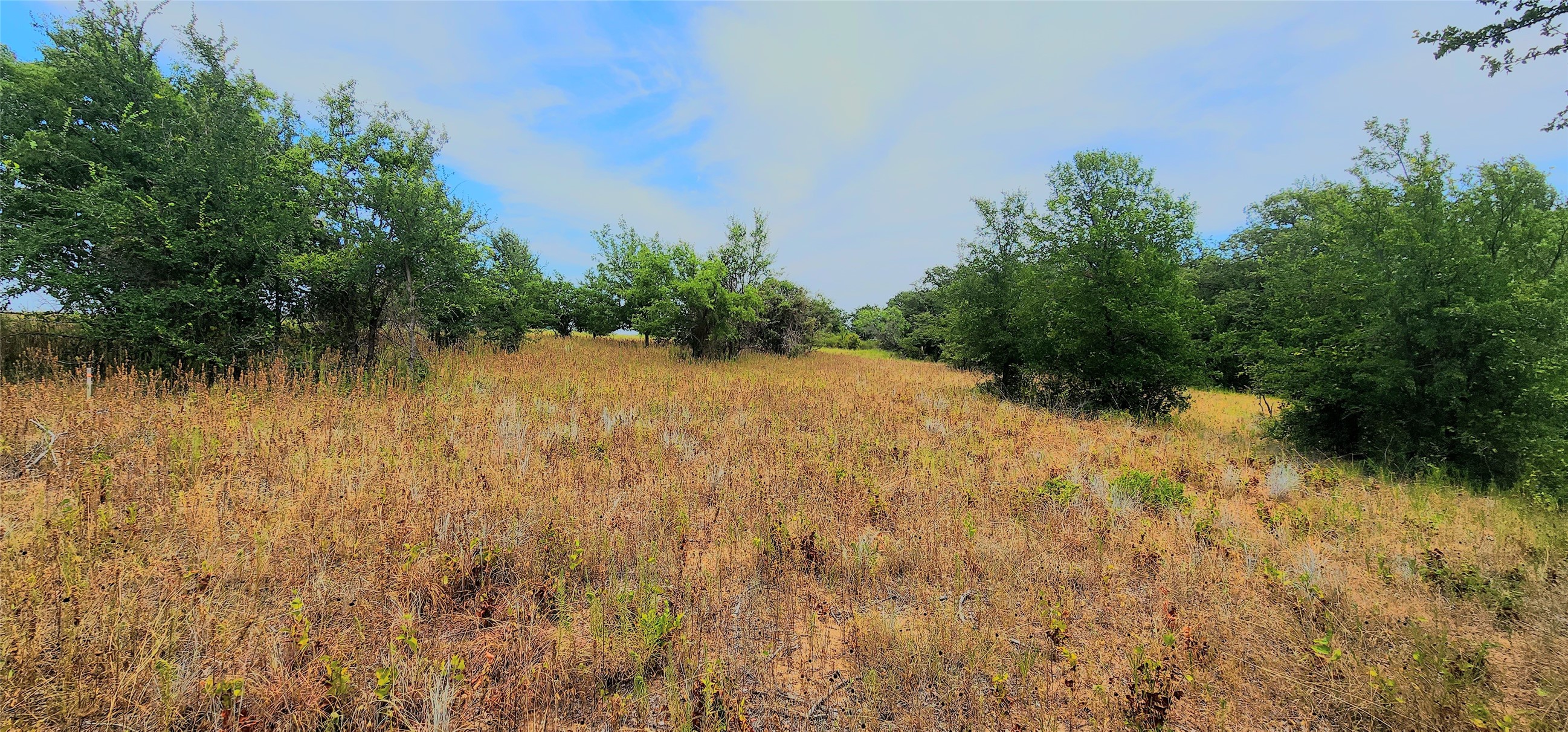 1080 Gonzollas Road Springtown TX 76082