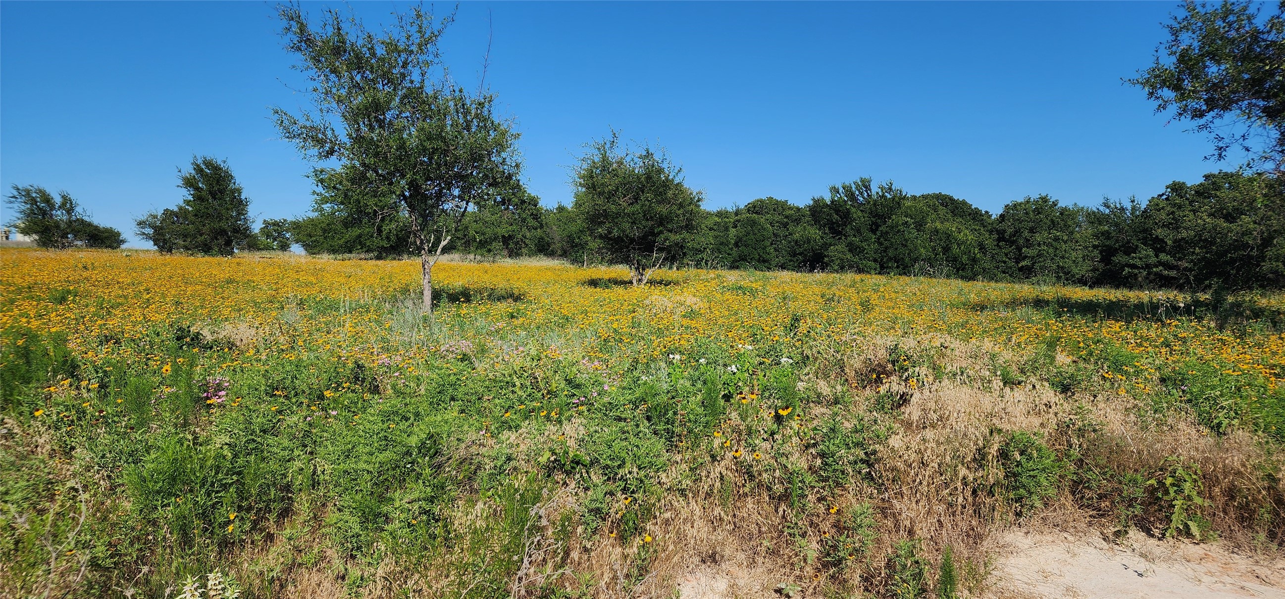 1080 Gonzollas Road Springtown TX 76082