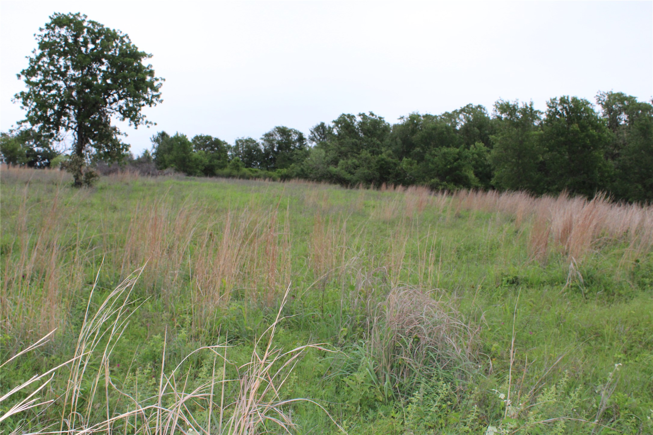 1080 Gonzollas Road Springtown TX 76082