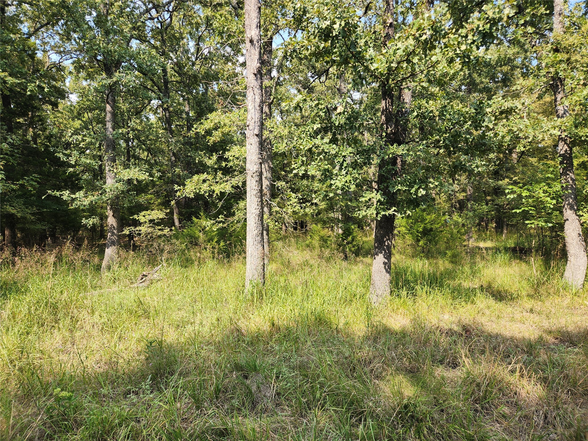 Lot 31 Fox Point Road Quinlan TX 75474