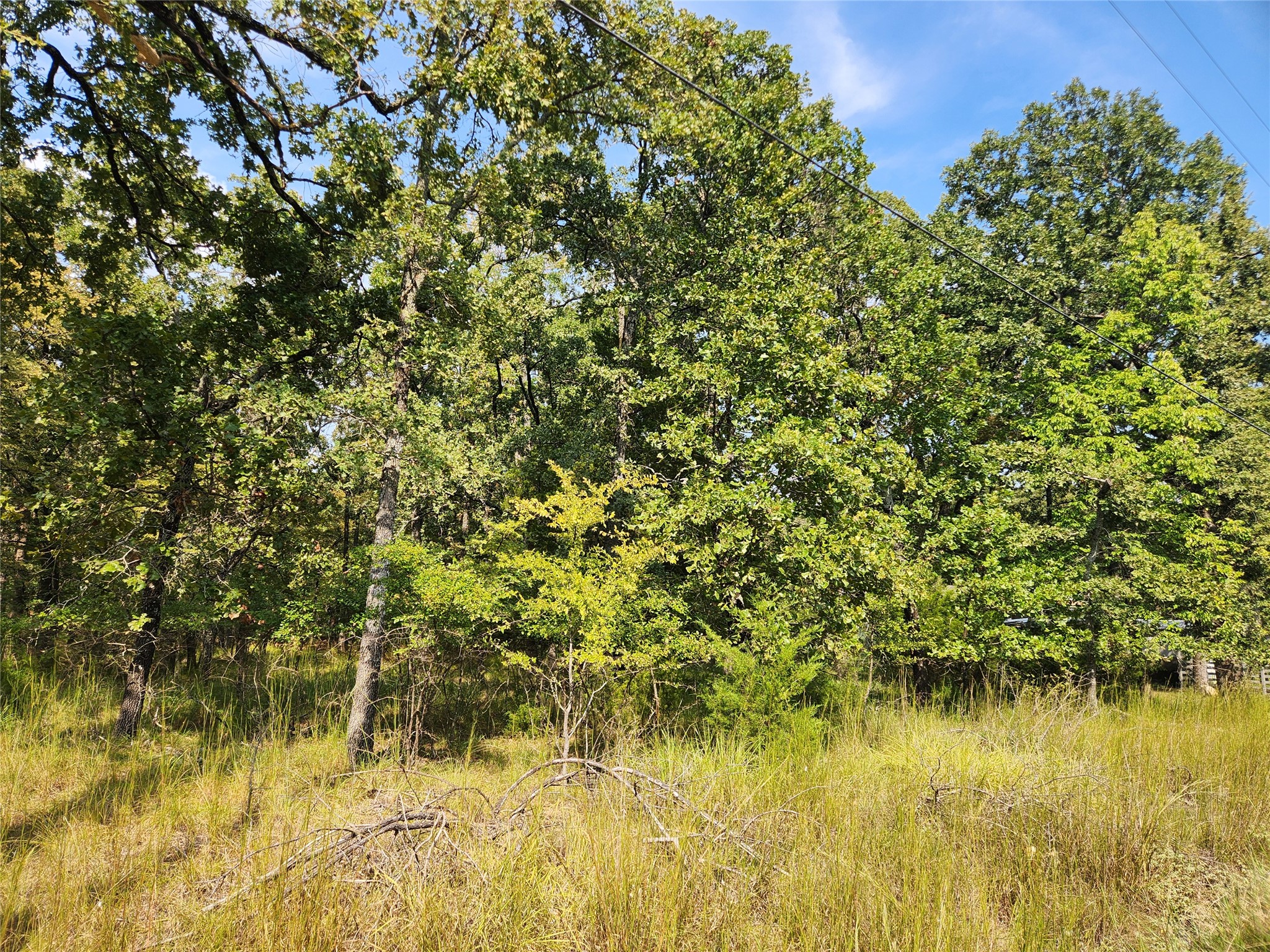 Lot 31 Fox Point Road Quinlan TX 75474