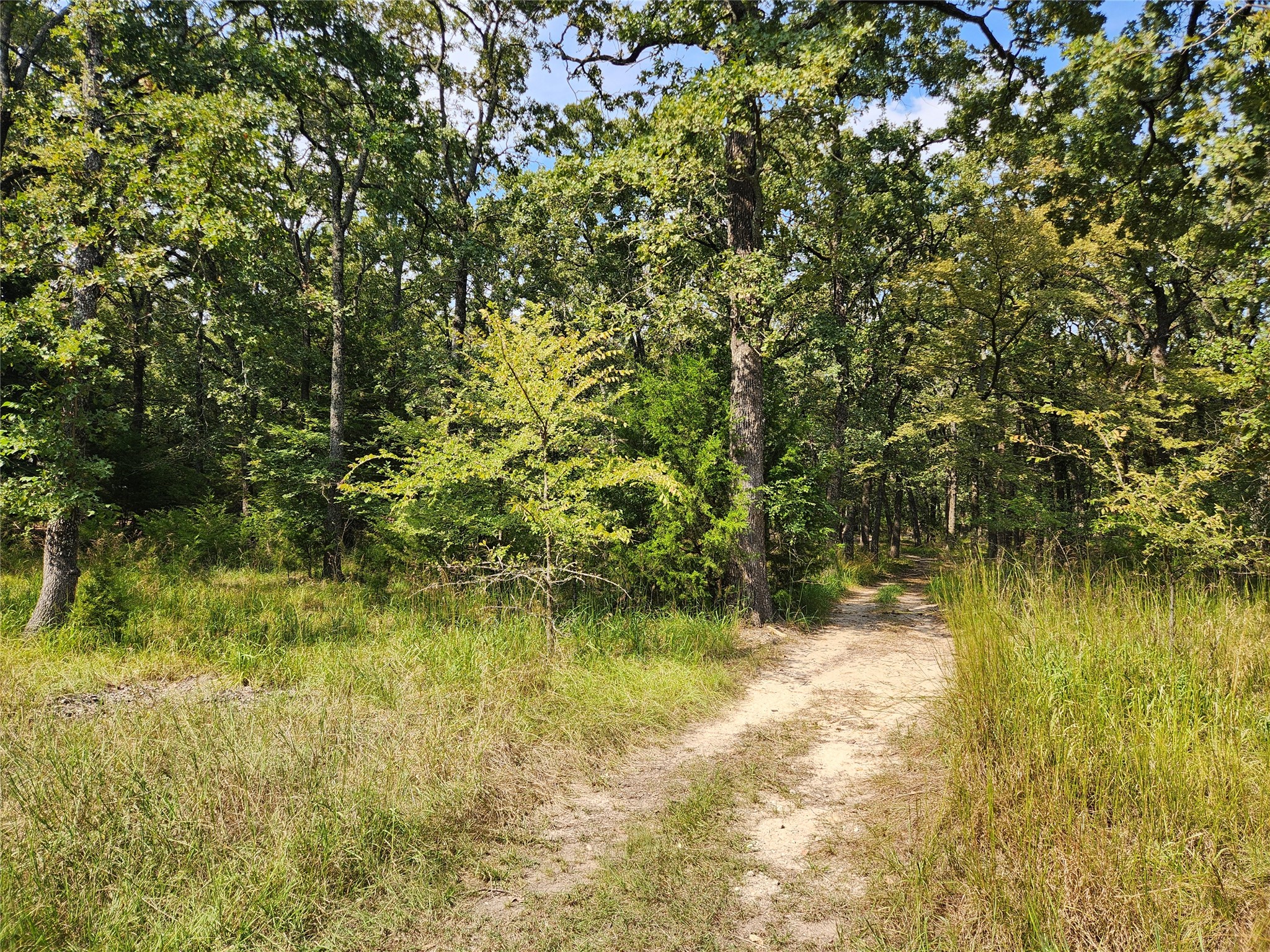 Lot 31 Fox Point Road Quinlan TX 75474