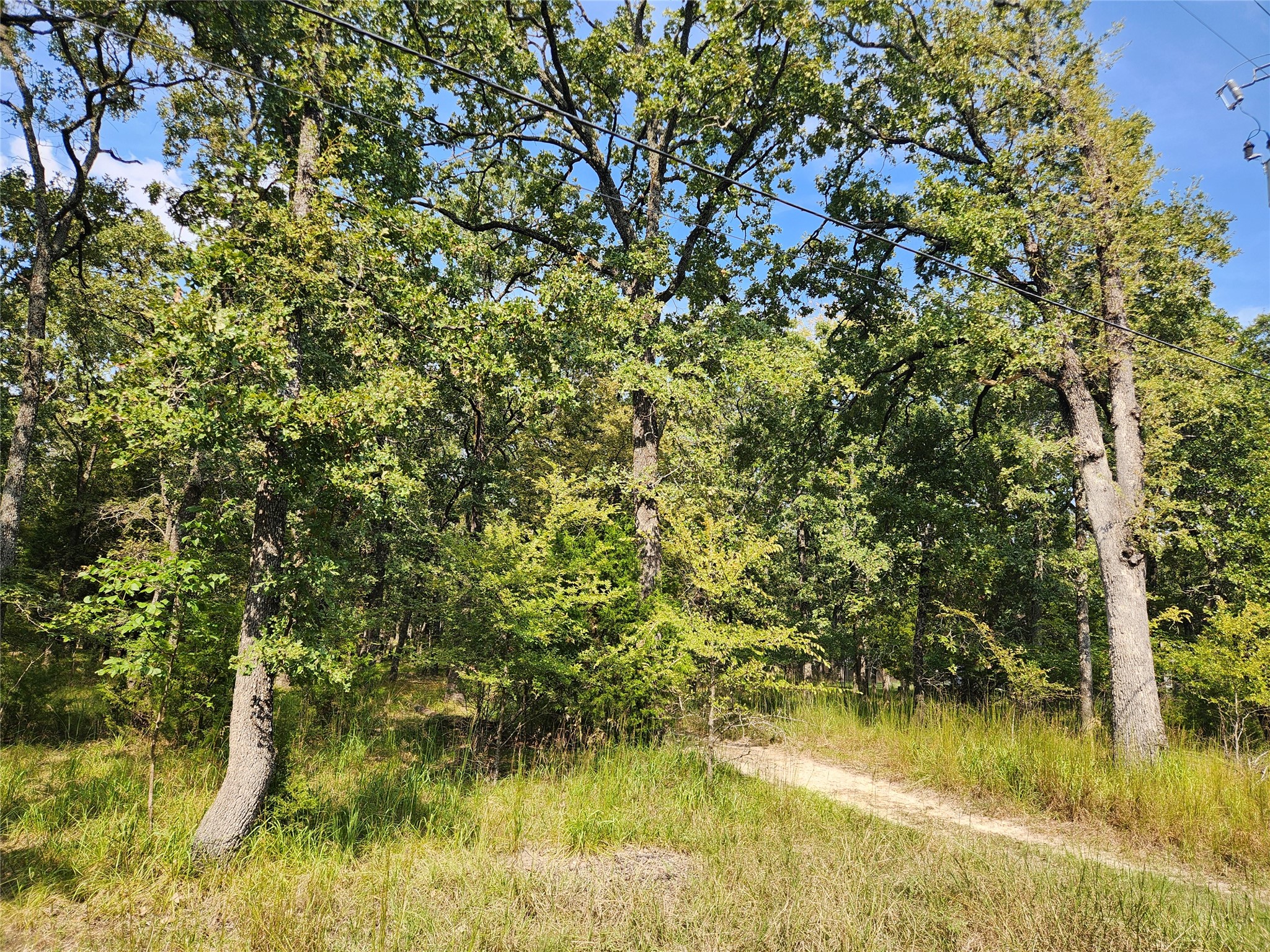 Lot 31 Fox Point Road Quinlan TX 75474