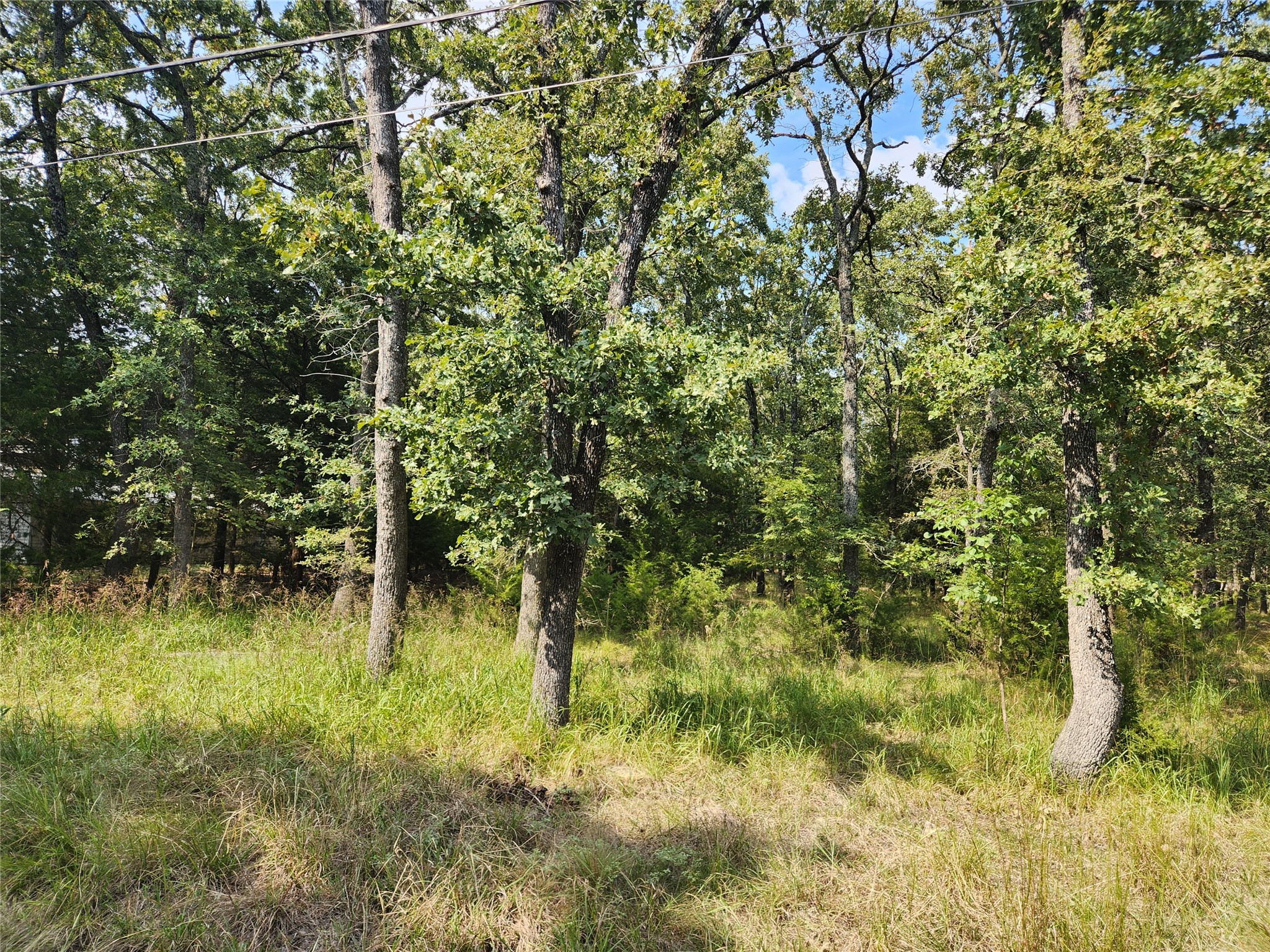 Lot 31 Fox Point Road Quinlan TX 75474