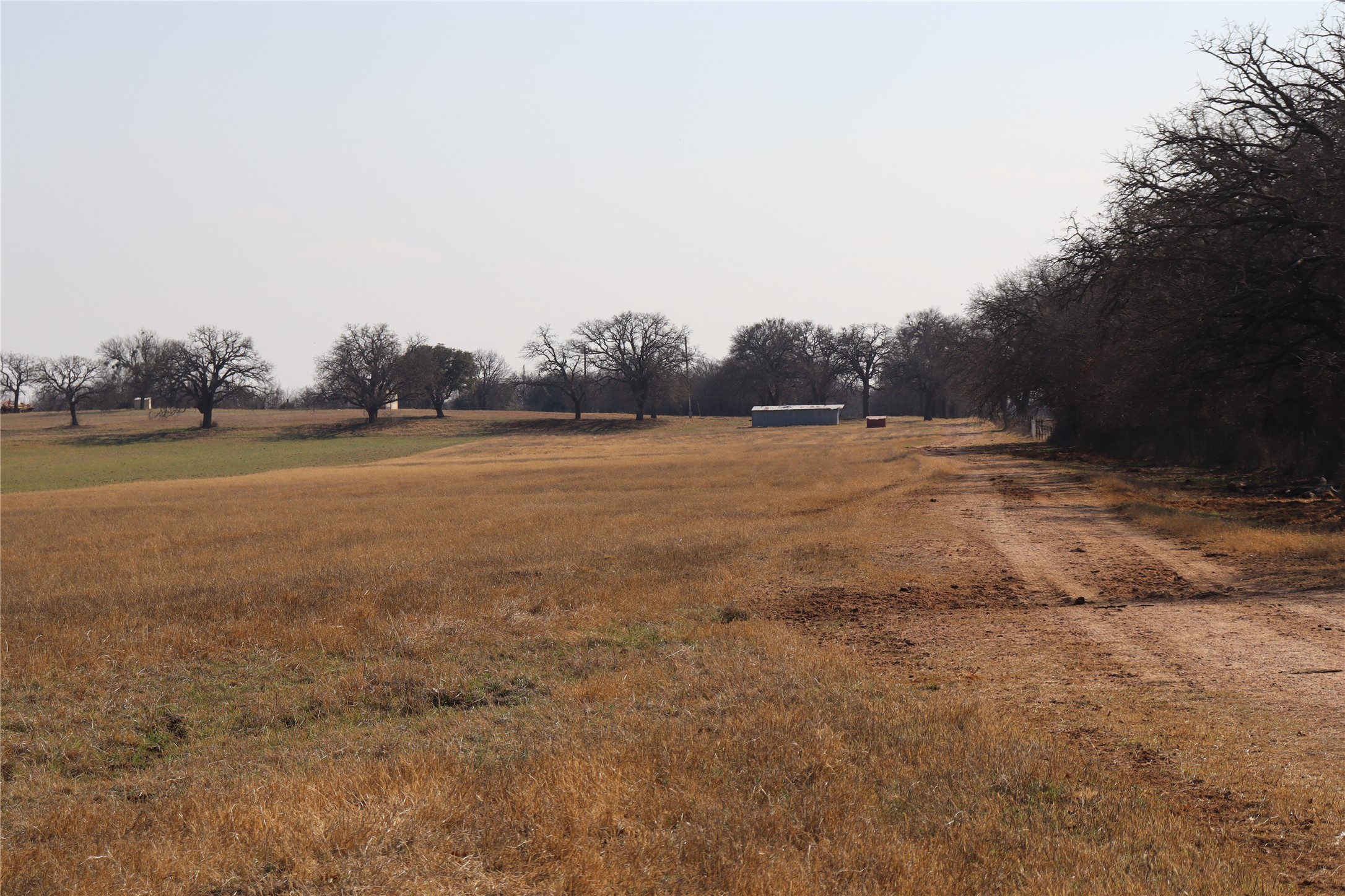 Tbd Countyr 415 Comanche TX 76442