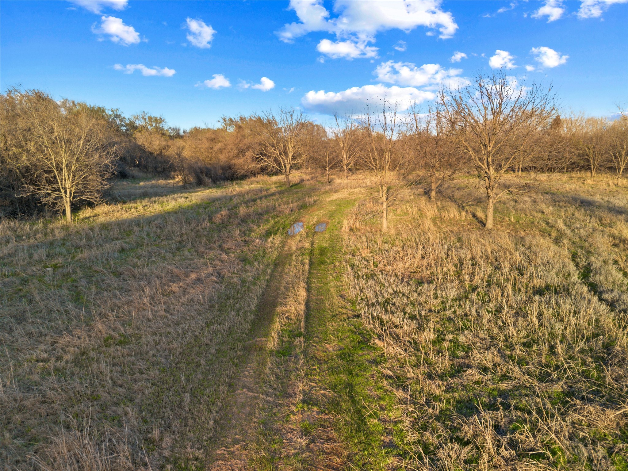 9911 Zion Hill Road Poolville TX 76487