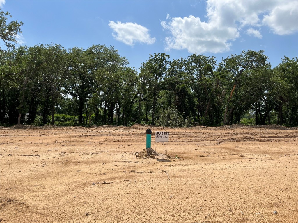 449 Peace Lily Way Tolar TX 76476