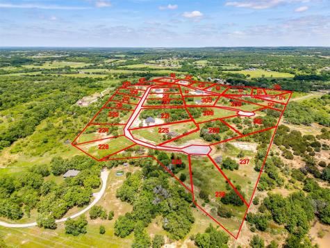 217 Jefferson Way Peaster TX 76088