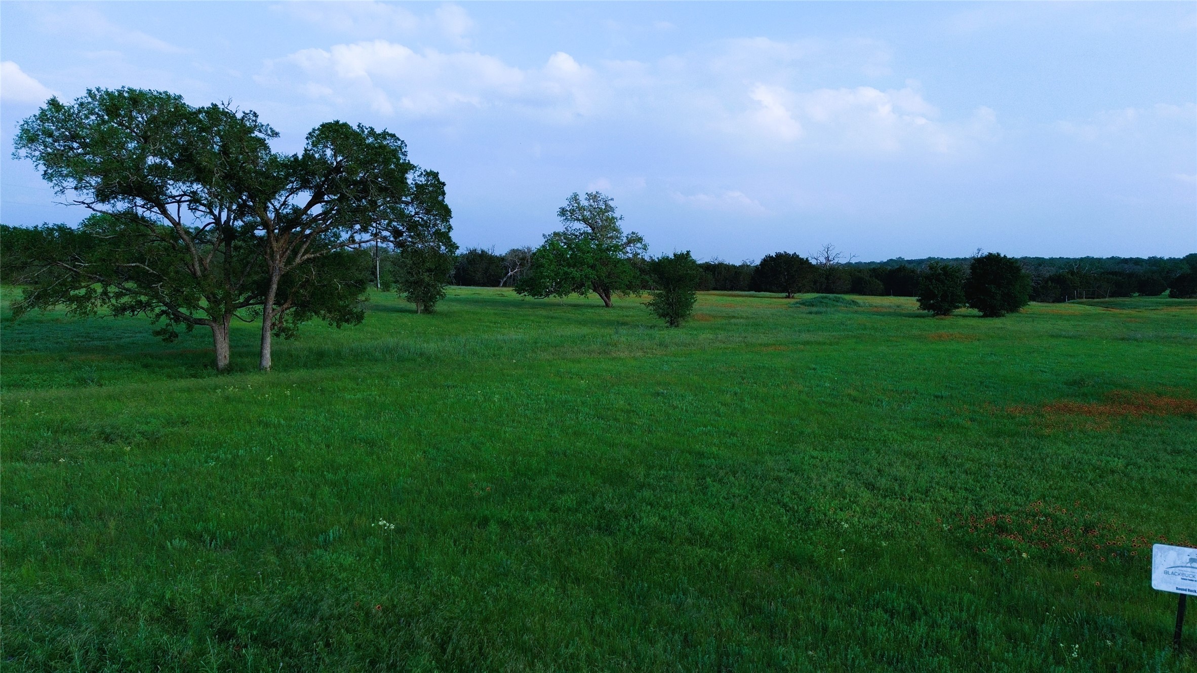 320 S Waterbuck Way Lampasas TX 76550