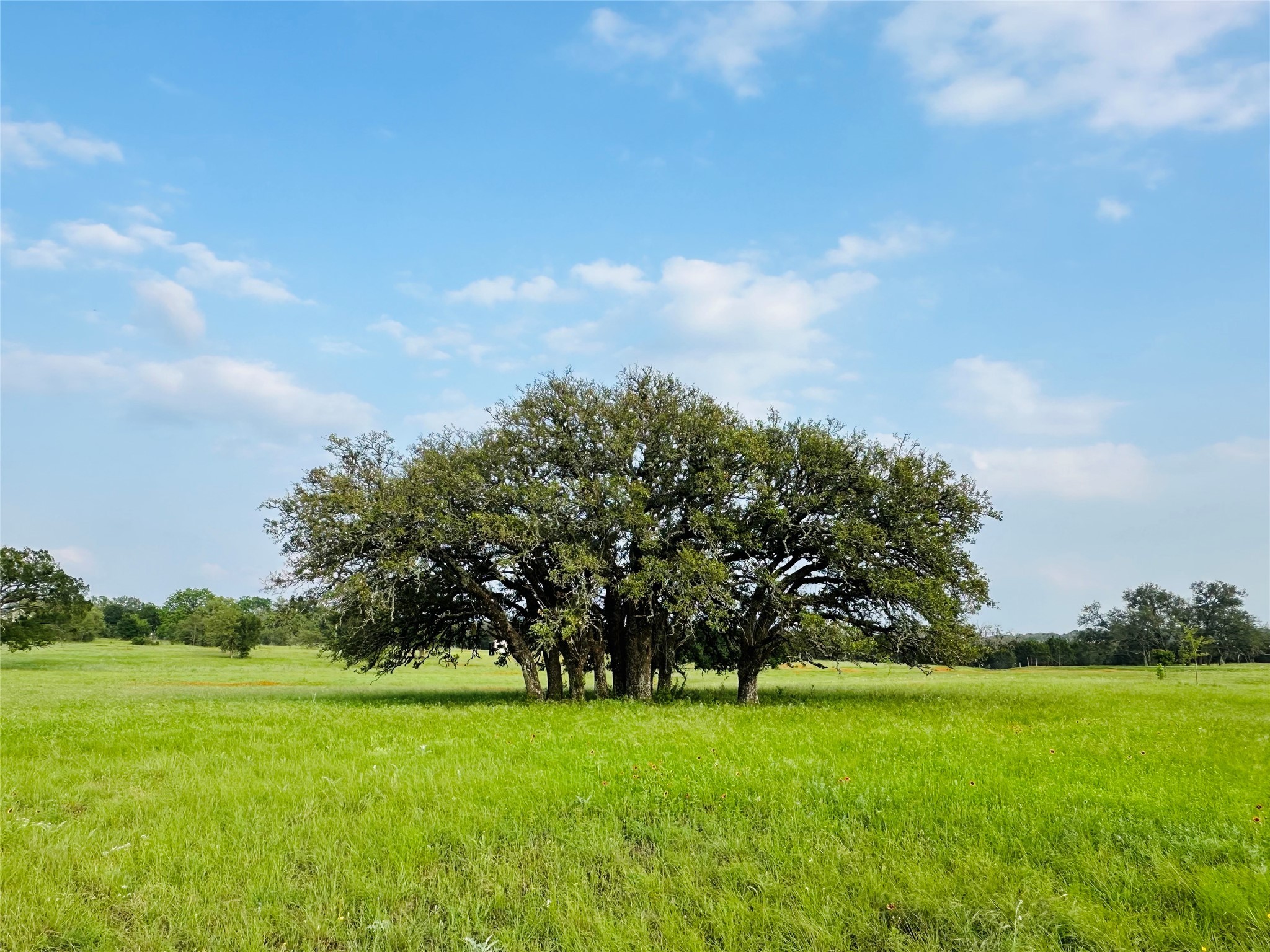 320 S Waterbuck Way Lampasas TX 76550