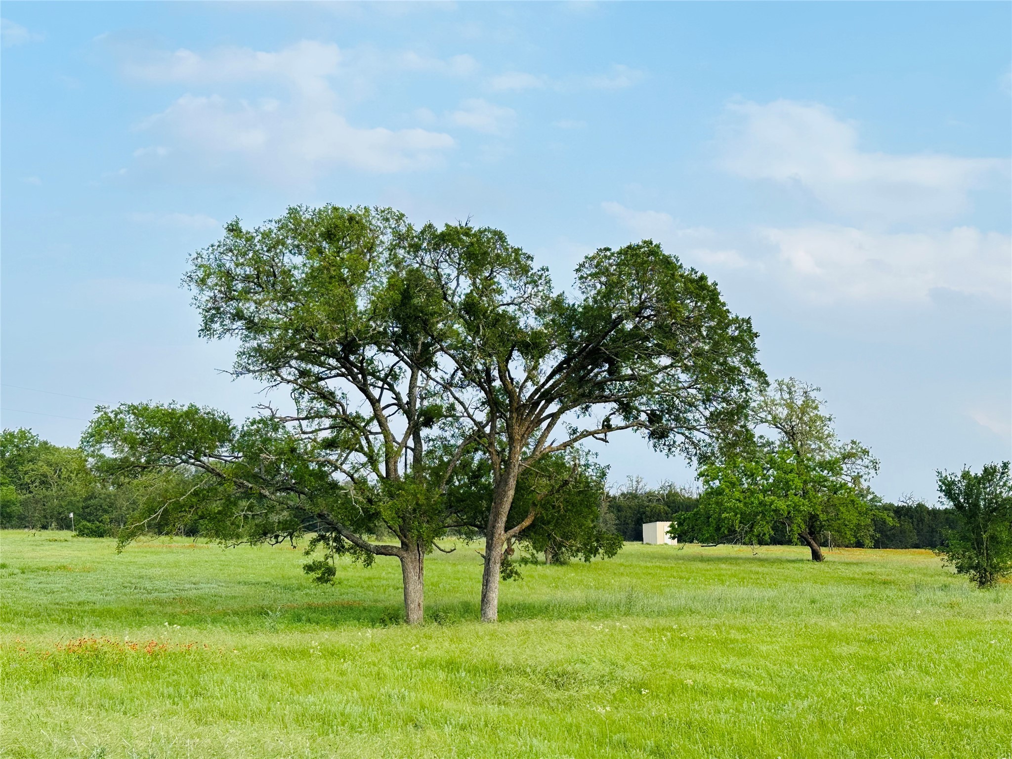 320 S Waterbuck Way Lampasas TX 76550