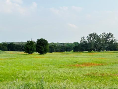 320 S Waterbuck Way Lampasas TX 76550