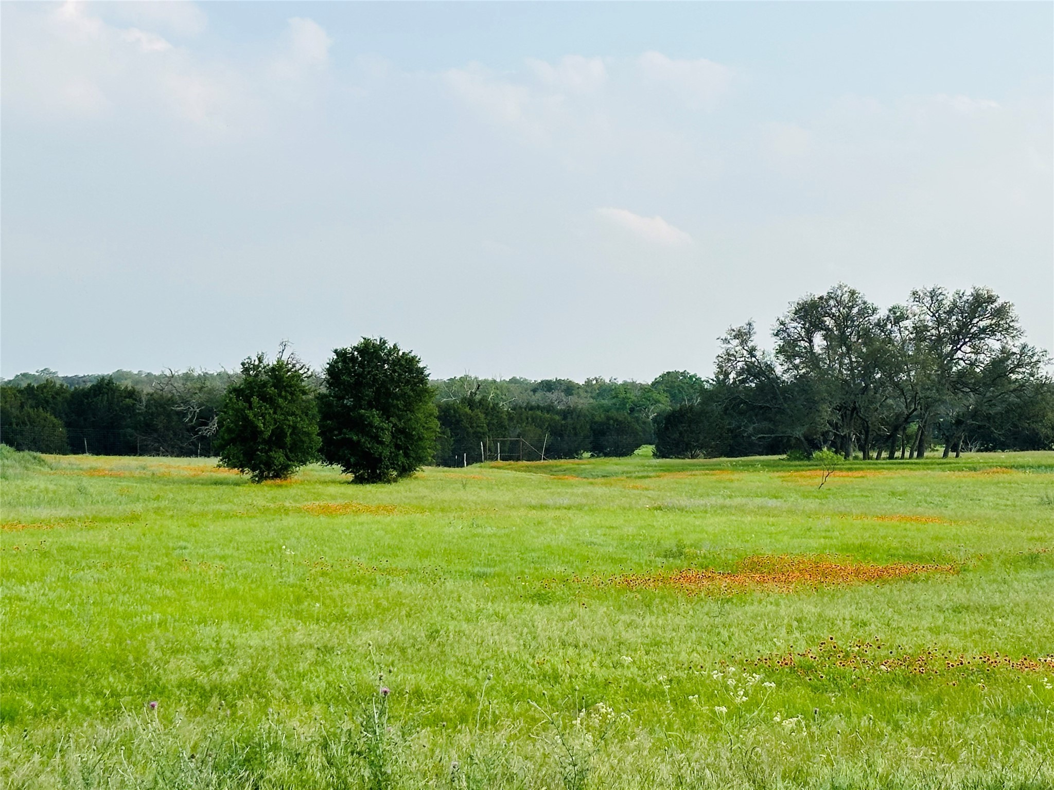 320 S Waterbuck Way Lampasas TX 76550