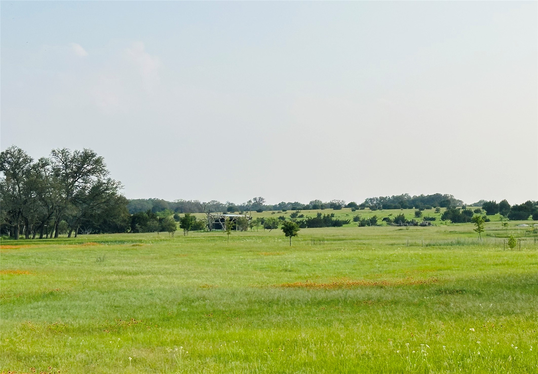 320 S Waterbuck Way Lampasas TX 76550