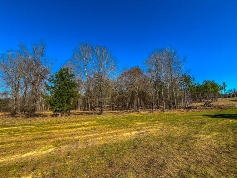 Tract 2 County Road 1713 Jacksonville TX 75766