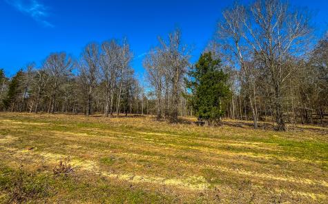 Tract 2 County Road 1713 Jacksonville TX 75766