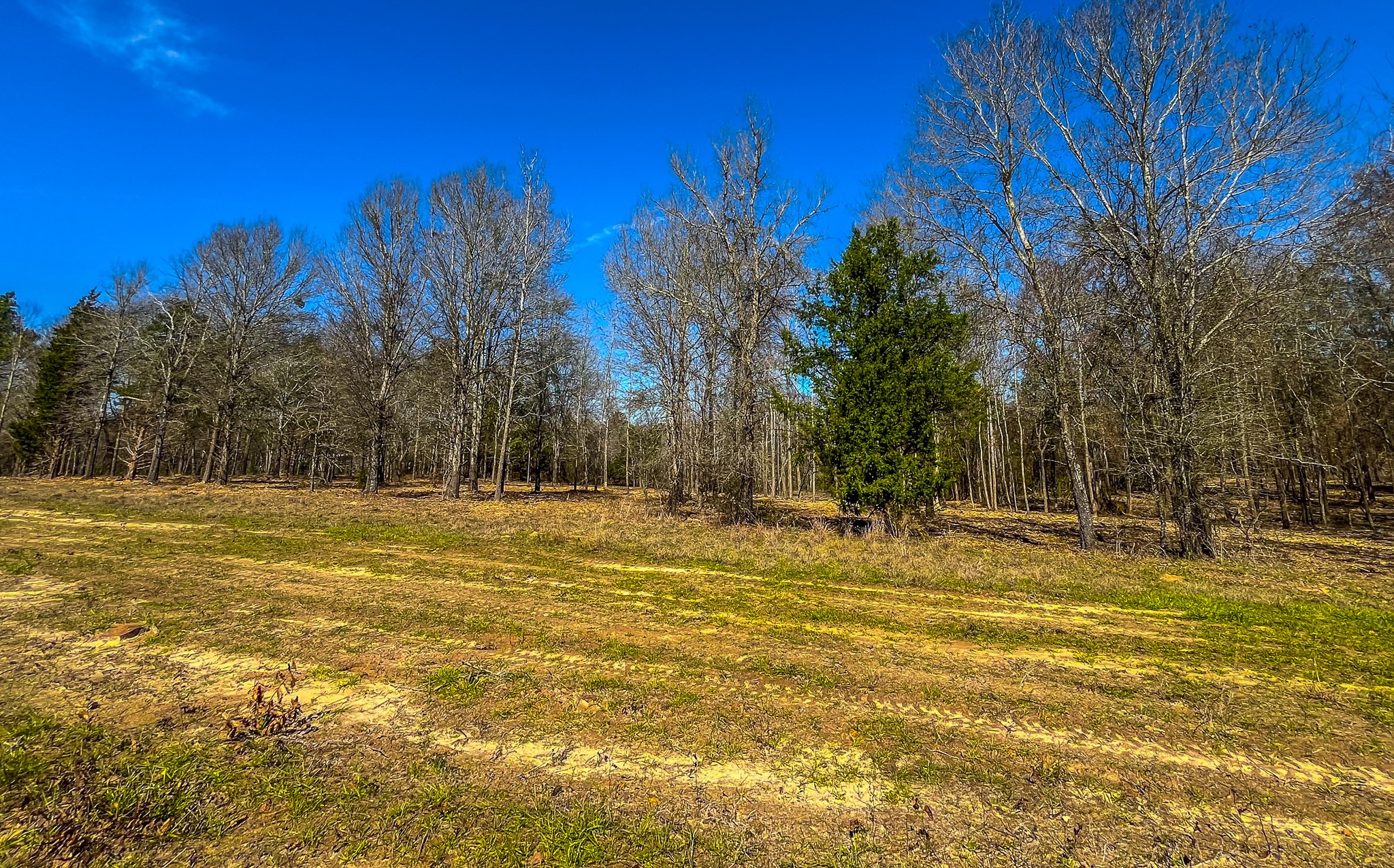 Tract 2 County Road 1713 Jacksonville TX 75766