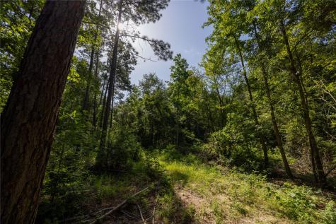 Tract 2 County Road 1713 Jacksonville TX 75766