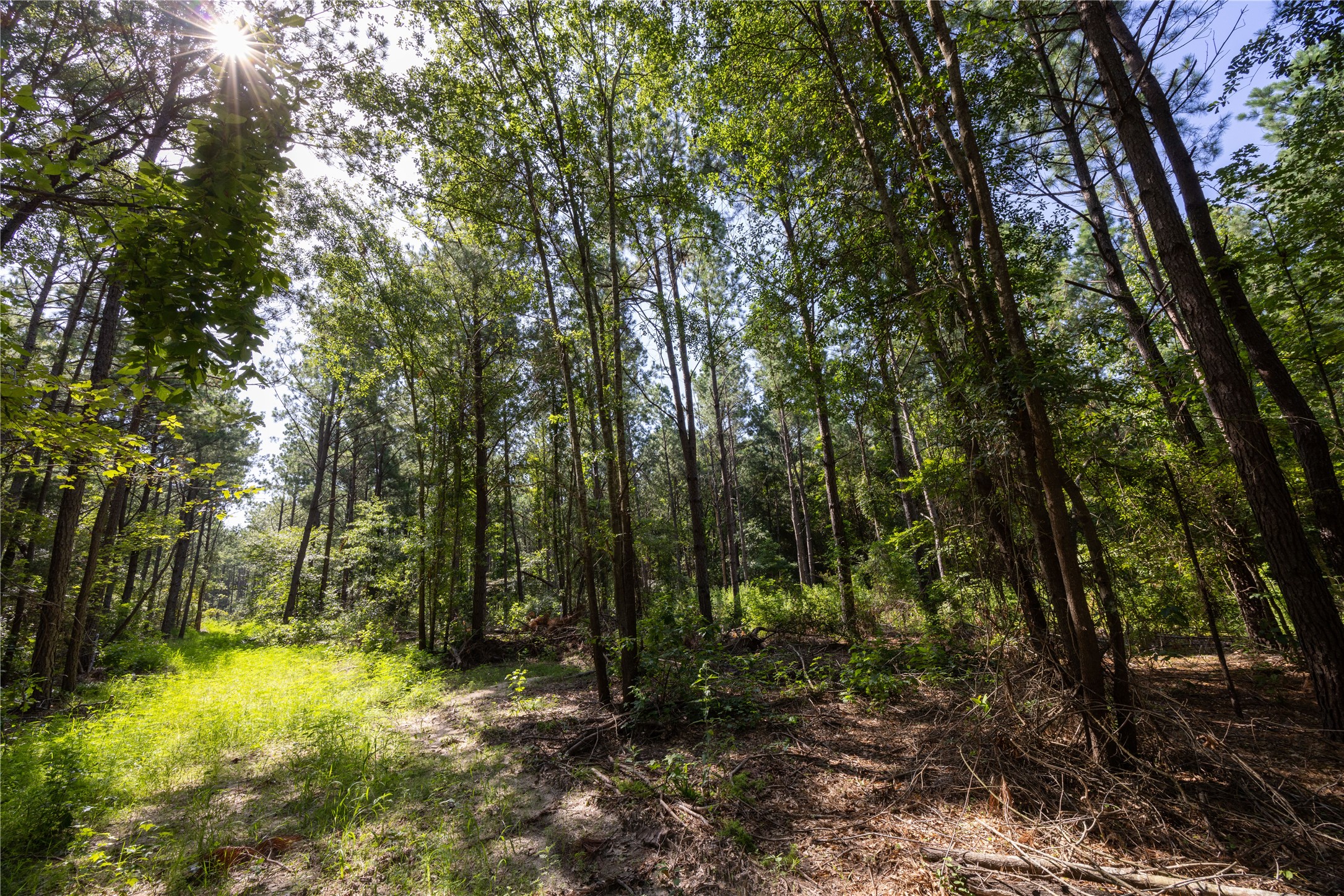 Tract 2 County Road 1713 Jacksonville TX 75766