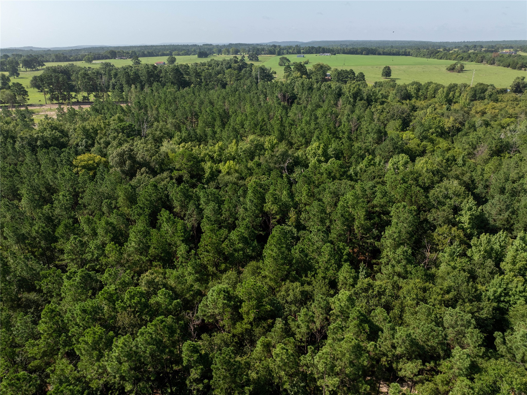 Tract 2 County Road 1713 Jacksonville TX 75766