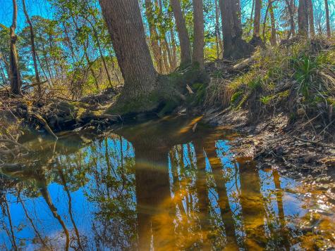 Tract 2 County Road 1713 Jacksonville TX 75766