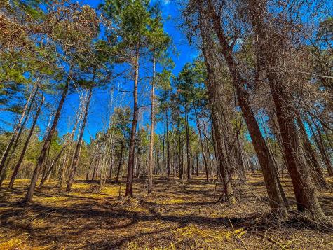 Tract 2 County Road 1713 Jacksonville TX 75766