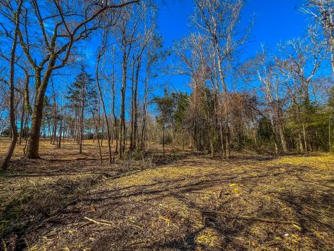 Tract 2 County Road 1713 Jacksonville TX 75766