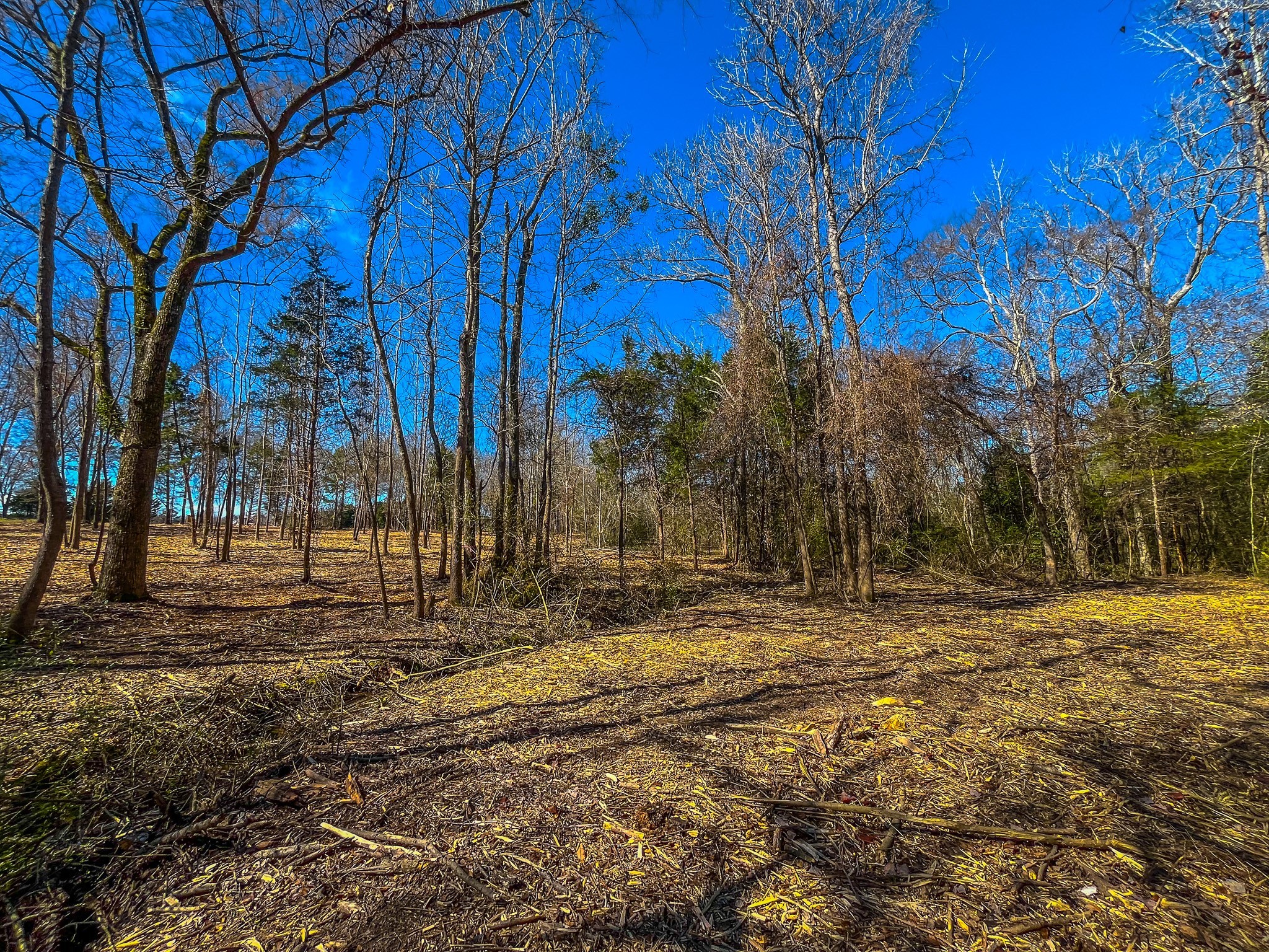 Tract 2 County Road 1713 Jacksonville TX 75766