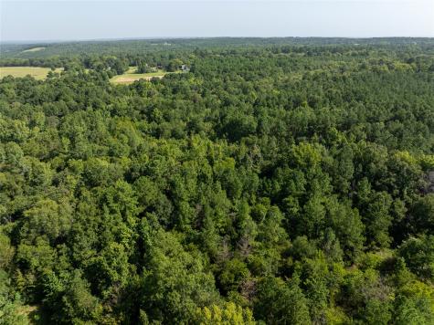 Tract 2 County Road 1713 Jacksonville TX 75766