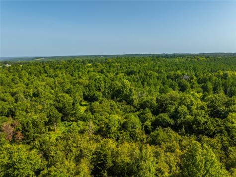 Tract 2 County Road 1713 Jacksonville TX 75766