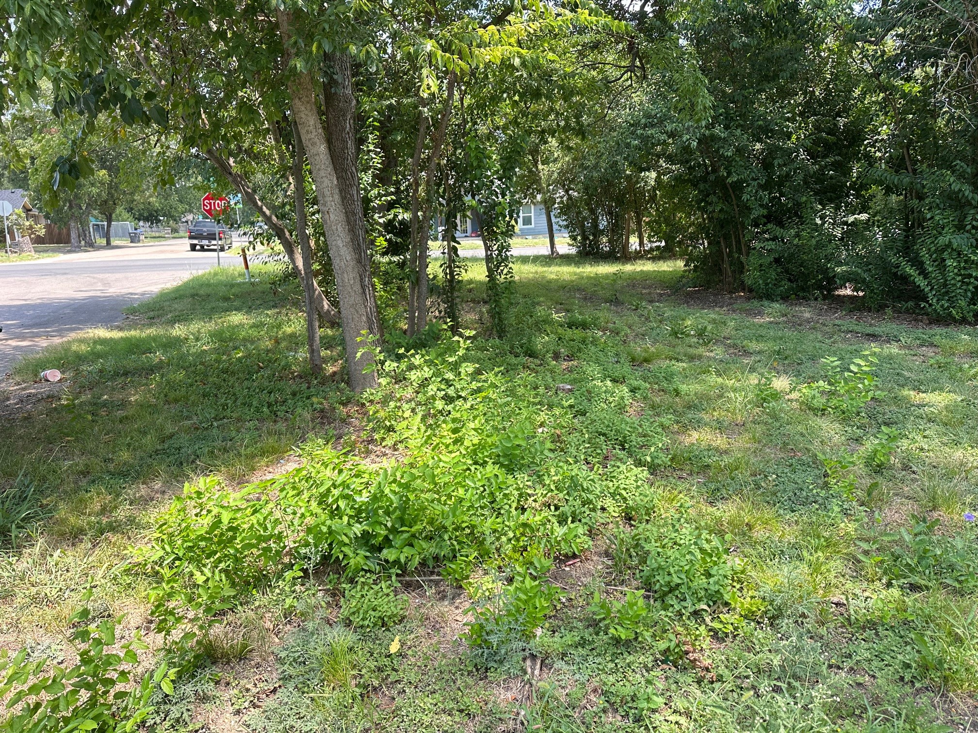 2504 Mckenzie Avenue Waco TX 76708