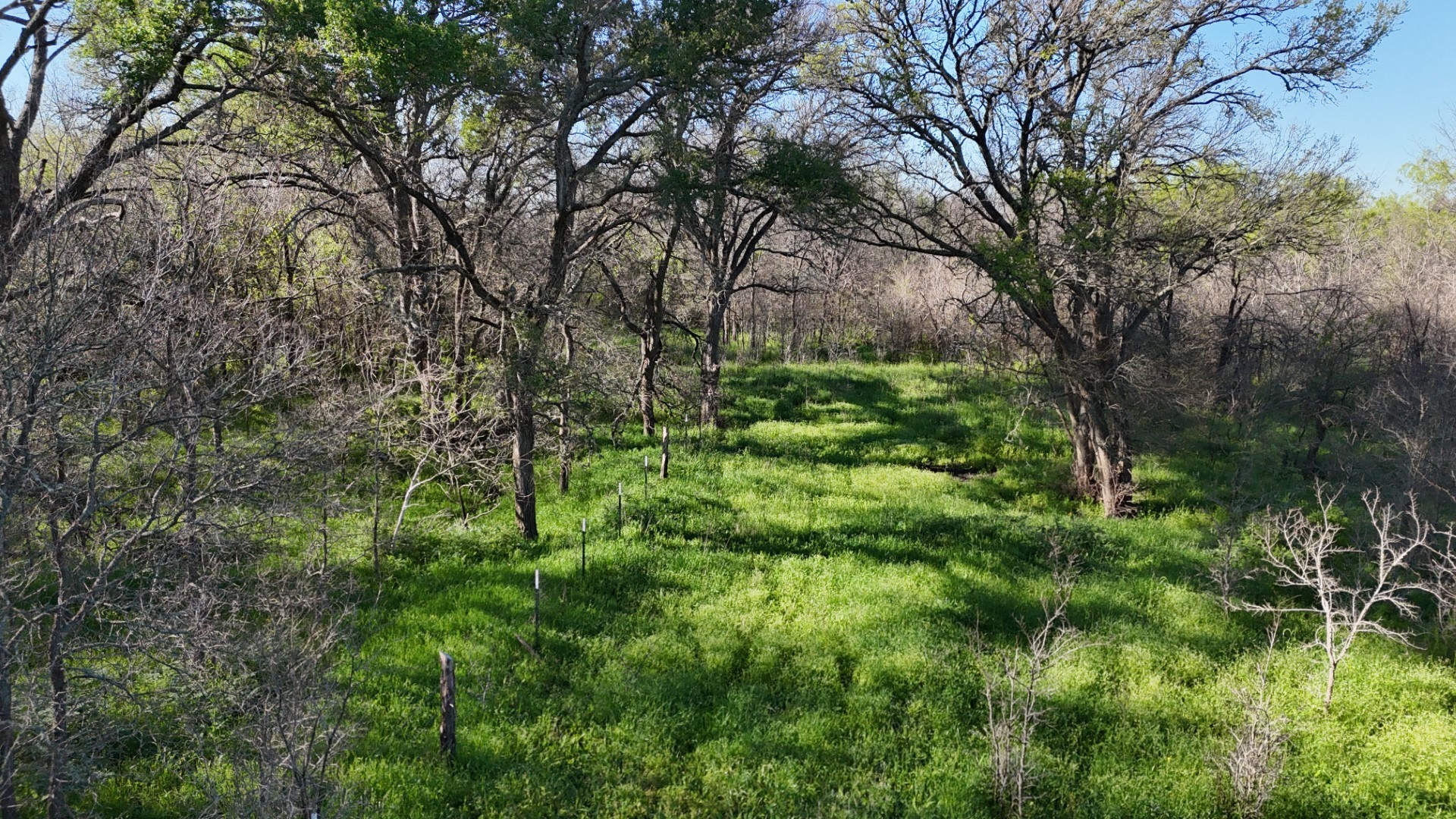 1127 Limestone County Road 607 Groesbeck TX 76642