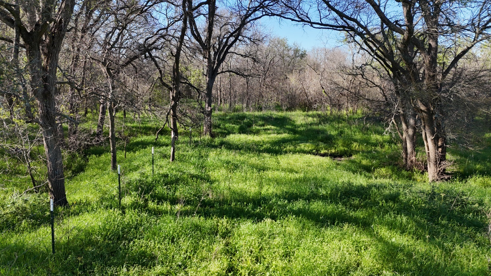 1127 Limestone County Road 607 Groesbeck TX 76642