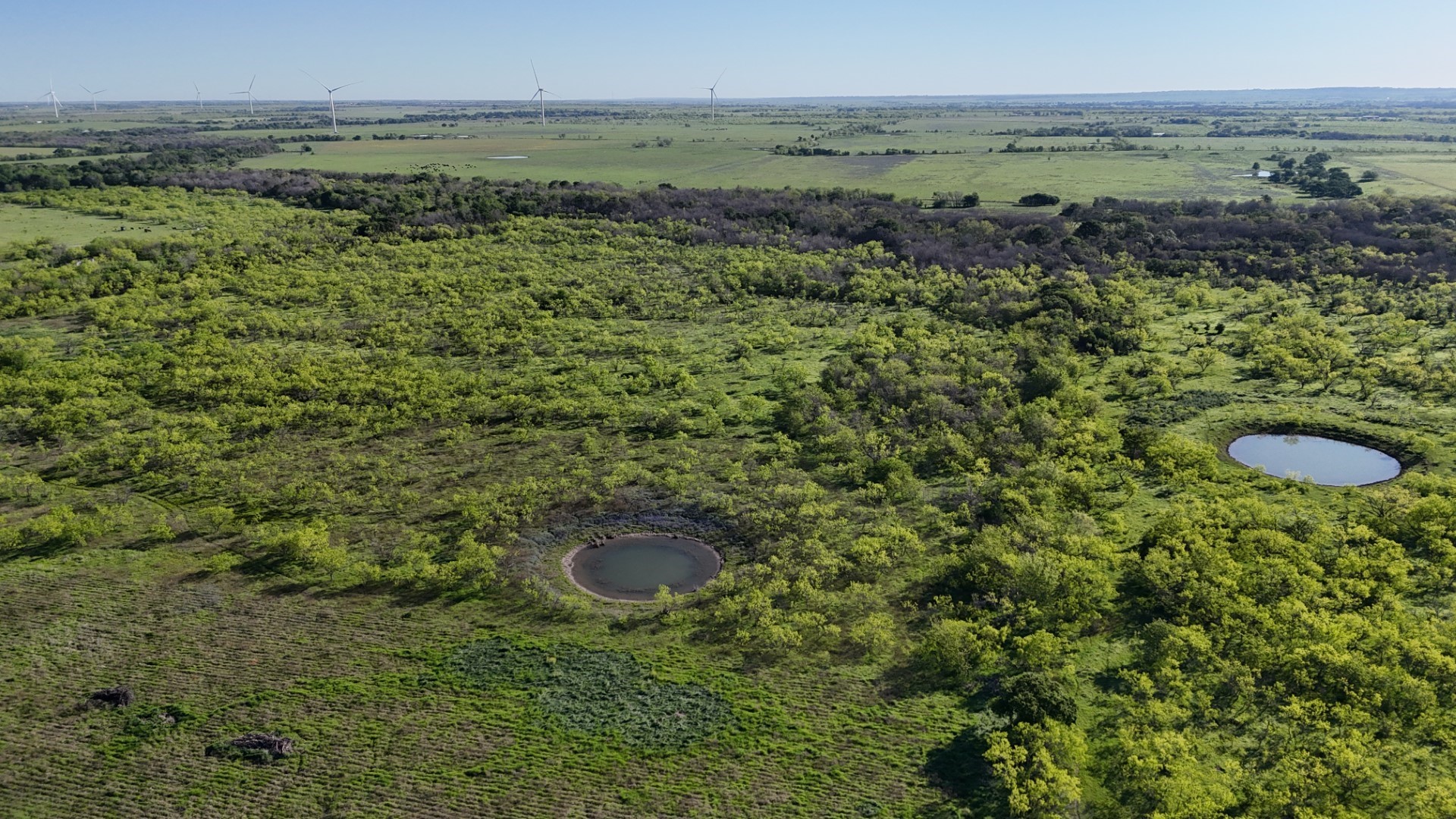 1127 Limestone County Road 607 Groesbeck TX 76642