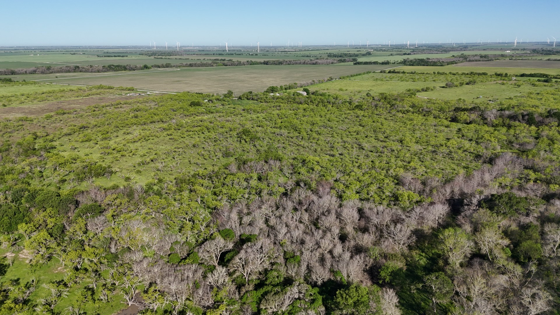 1127 Limestone County Road 607 Groesbeck TX 76642