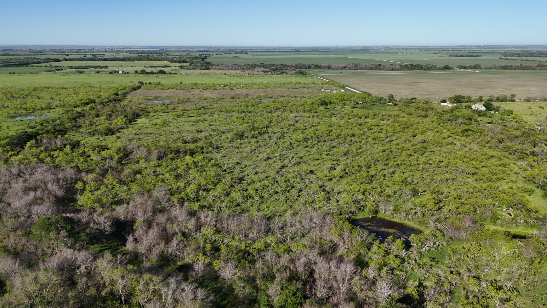 1127 Limestone County Road 607 Groesbeck TX 76642