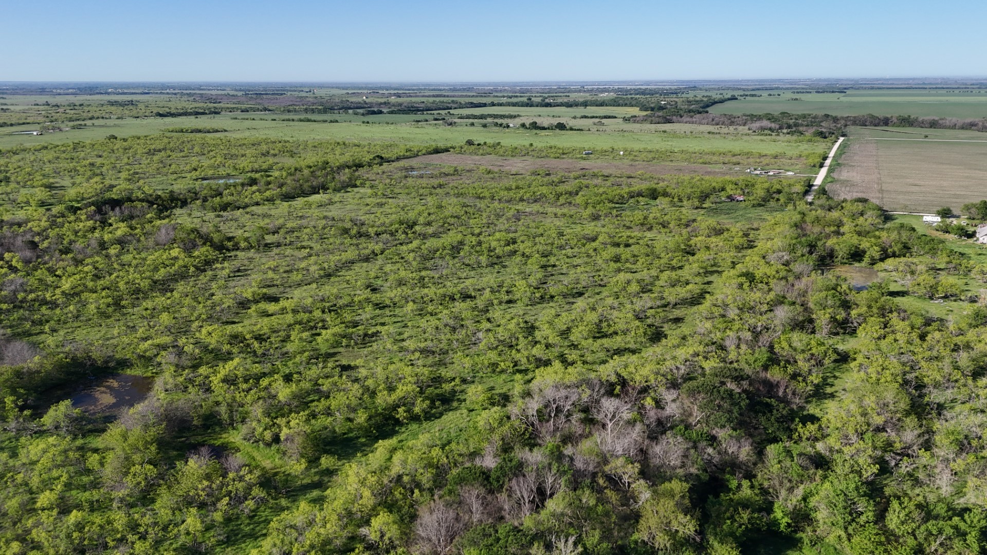 1127 Limestone County Road 607 Groesbeck TX 76642