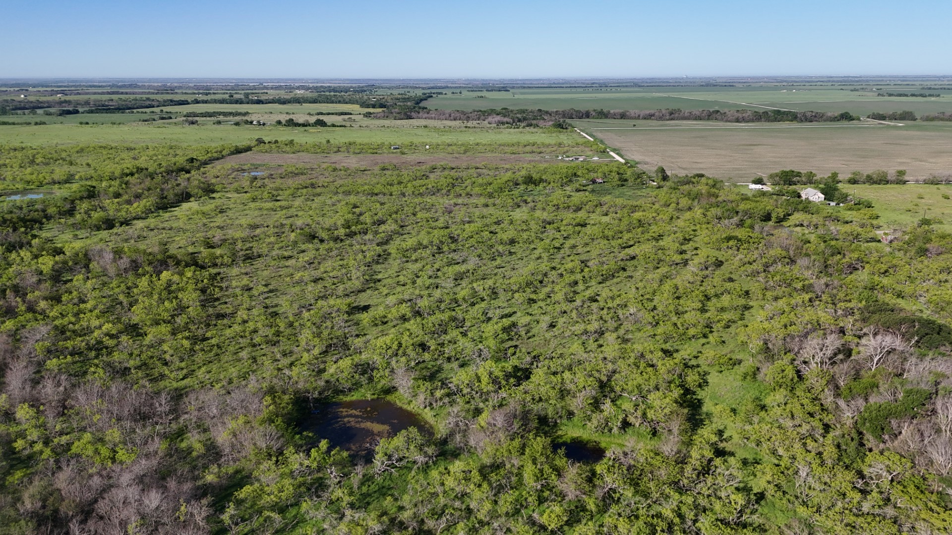 1127 Limestone County Road 607 Groesbeck TX 76642