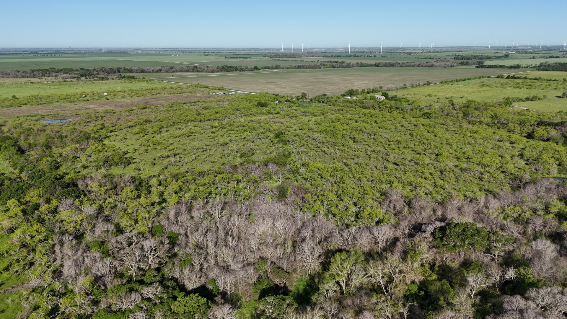1127 Limestone County Road 607 Groesbeck TX 76642