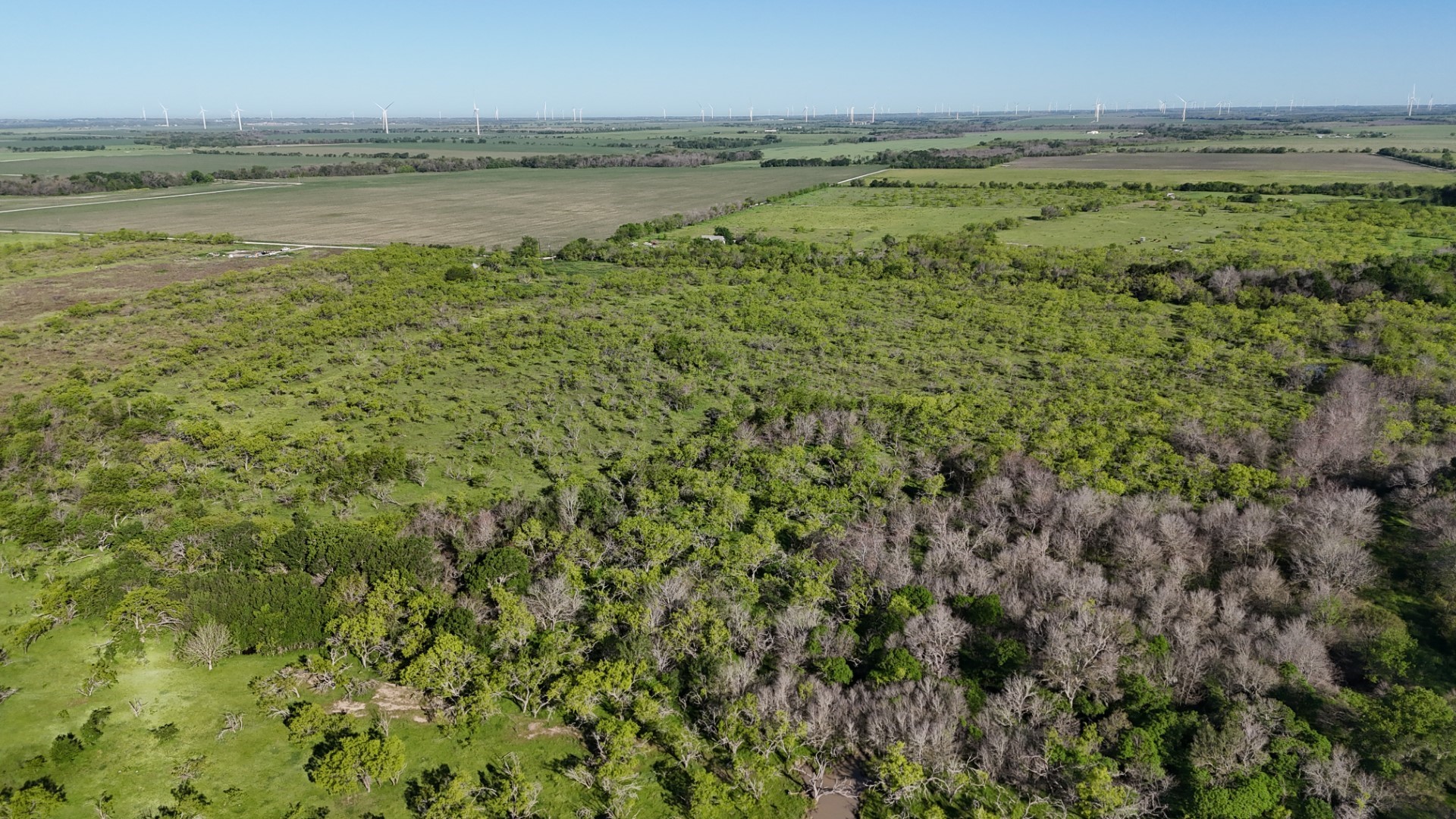 1127 Limestone County Road 607 Groesbeck TX 76642