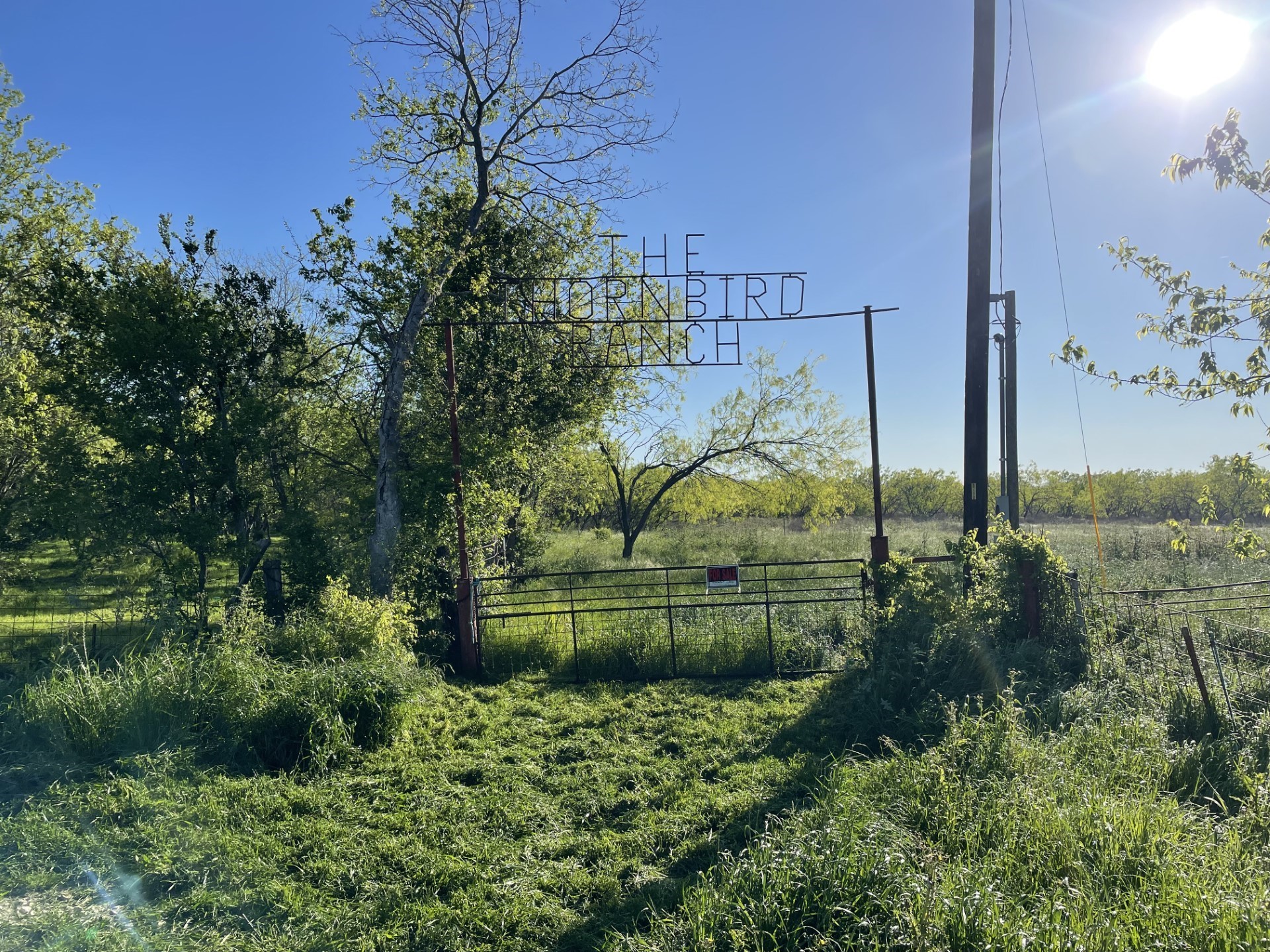 1127 Limestone County Road 607 Groesbeck TX 76642