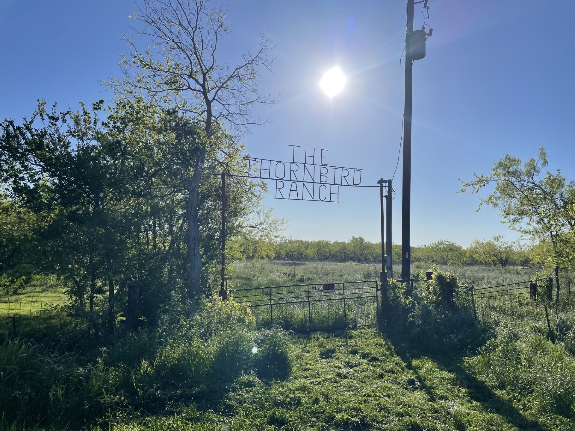 1127 Limestone County Road 607 Groesbeck TX 76642