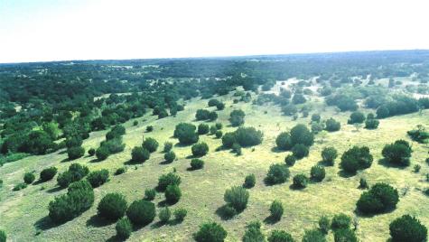 170+/- Ac Tbd County Road 386 Carlton TX 76436
