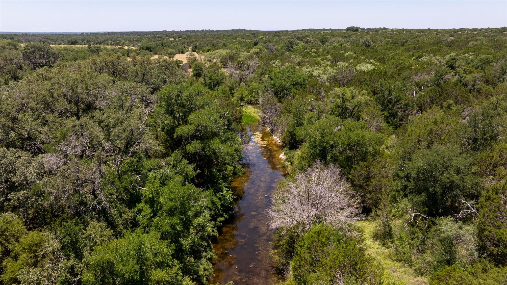 170+/- Ac Tbd County Road 386 Carlton TX 76436