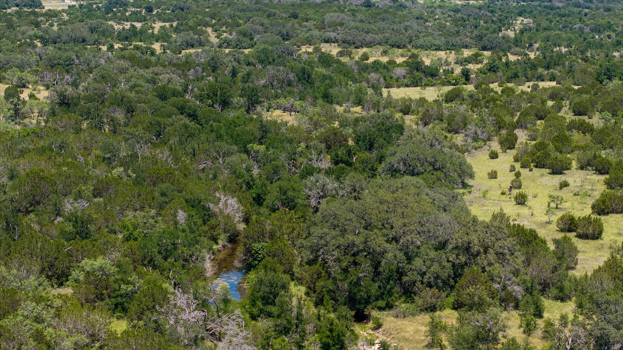 170+/- Ac Tbd County Road 386 Carlton TX 76436